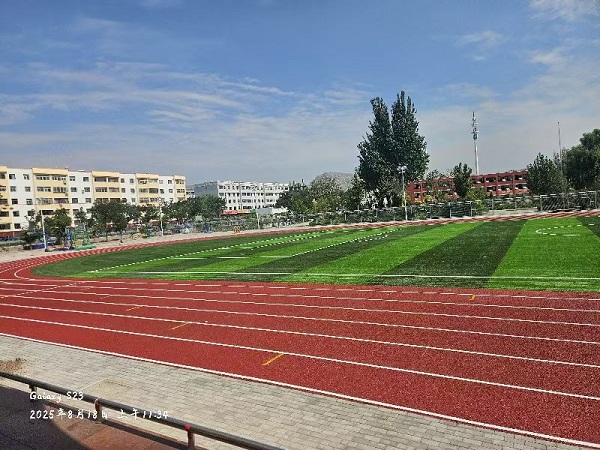 大武口第十二小学 (15).jpg